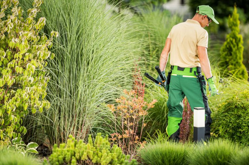 Experienced Landscaping Teams